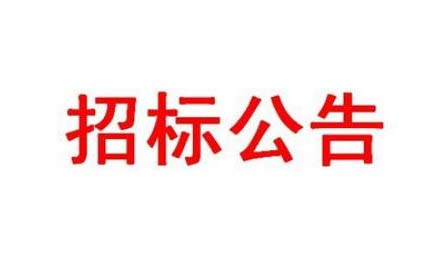 DK20200006地塊生產(chǎn)大樓基坑支護設計招標公告